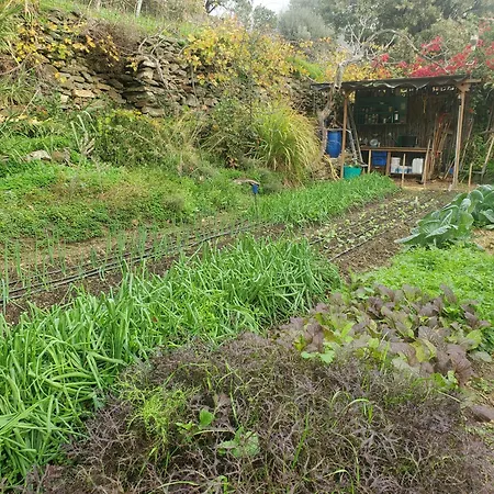 Tinos Ecolodge
